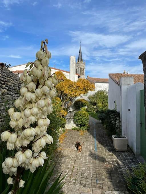 Maison De Charme A La Couarde-Sur-Mer Eksteriør bilde